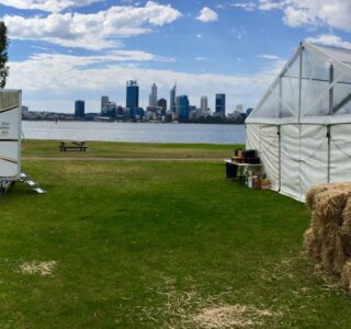 Outdoor event setup with a mobile toilet trailer, hay bales, and a marquee against a backdrop of a city skyline and waterfront.