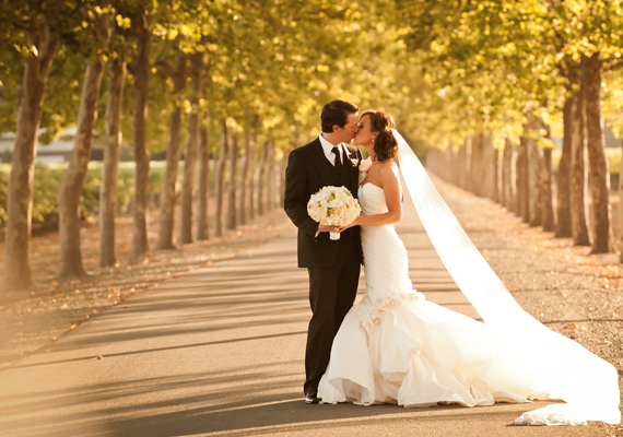 Bride and groom kissing on a tree-lined path on their wedding day.